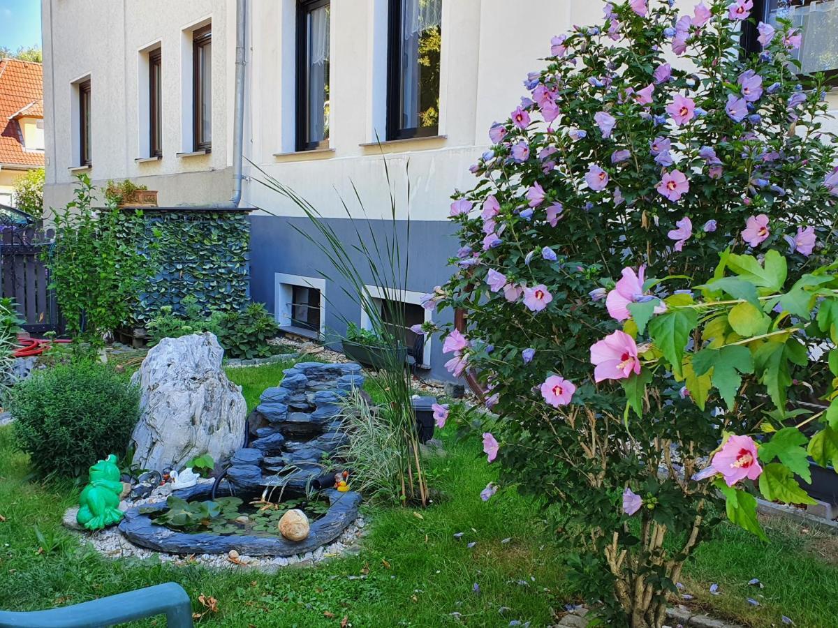 Ferienwohnung Mit Charme Neukieritzsch エクステリア 写真
